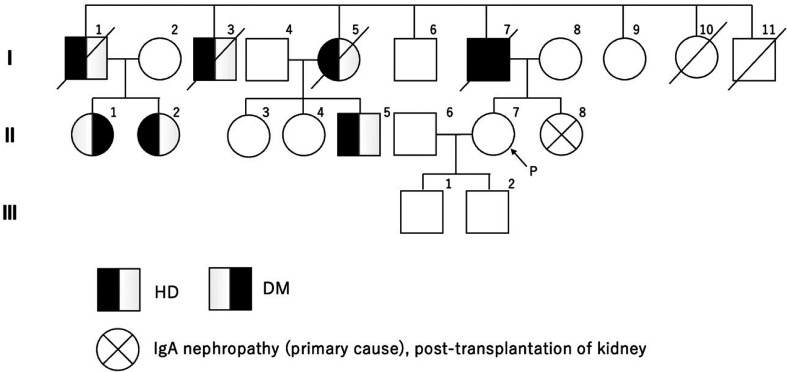 Case of hereditary kidney disease presenting thin basement membrane with a single heterozygous variant of Intersectin 2.