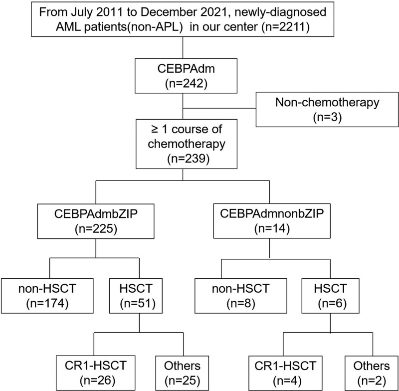 Heterogeneity analysis of the <i>CEBPA</i>dm AML based on bZIP region mutations.