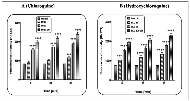 Cardiotoxicity of chloroquine and hydroxychloroquine through mitochondrial pathway.