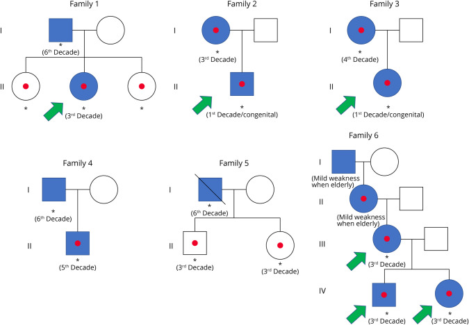 Parent-of-Origin Effect on the Age at Symptom Onset in Myotonic Dystrophy Type 2.