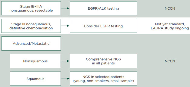 Updating the Targeted Therapy Paradigm for Patients With Metastatic NSCLC.