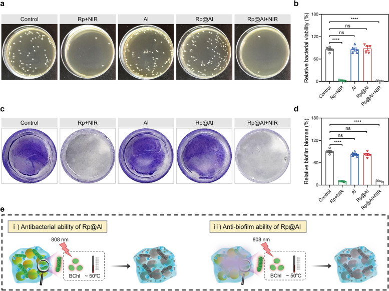 Bacteria-based multiplex system eradicates recurrent infections with drug-resistant bacteria via photothermal killing and protective immunity elicitation.