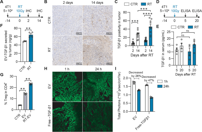 PKC-ζ mediated reduction of the extracellular vesicles-associated TGF-β1 overcomes radiotherapy resistance in breast cancer.