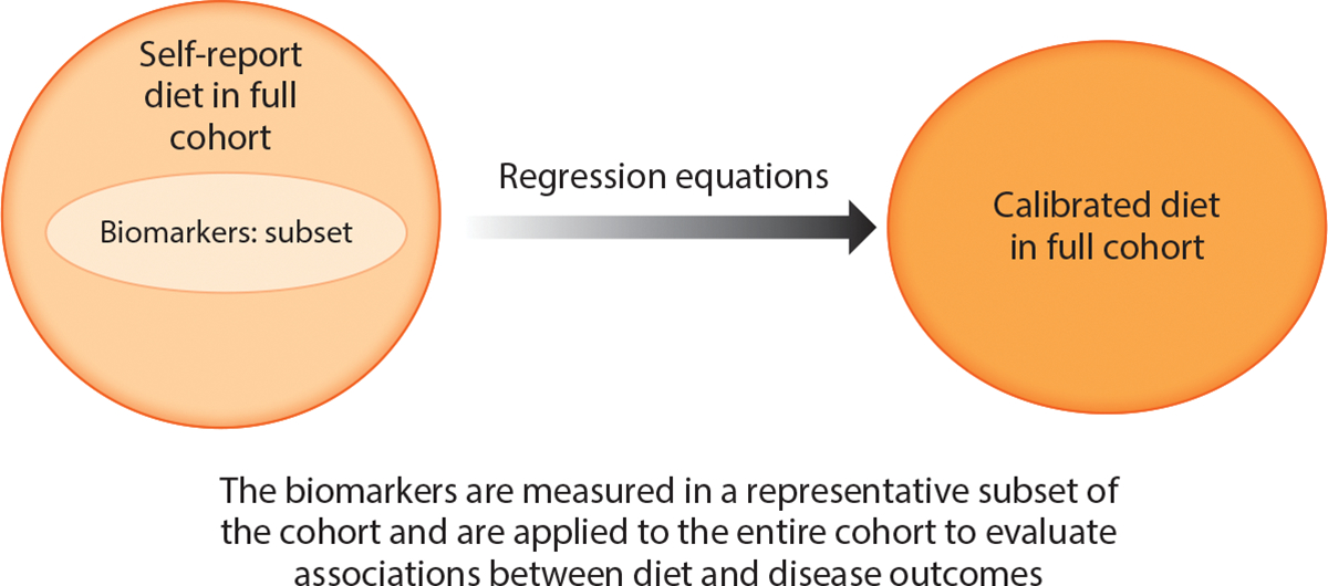 Enhancing Capacity for Food and Nutrient Intake Assessment in Population Sciences Research.