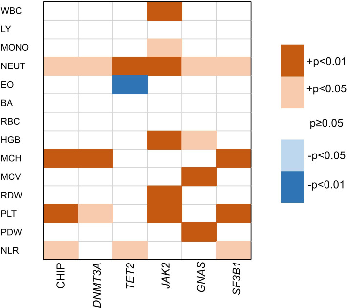 Somatic mutation contributing to clonal haematopoiesis is a risk factor of recurrent stroke in first-ever acute ischaemic stroke: a prospective cohort study.