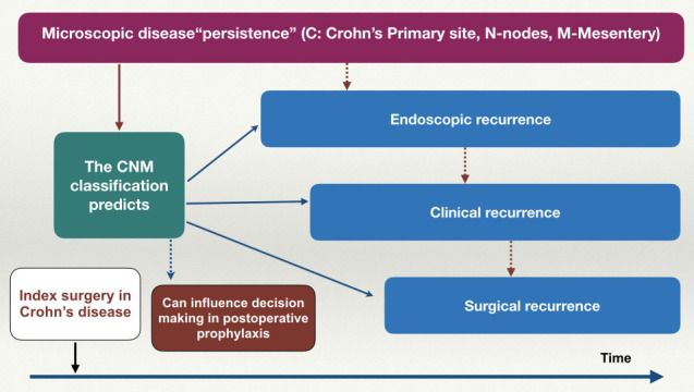 Proposal of novel staging system CNM (Crohn's primary site, nodes, mesentery) to predict postoperative recurrence of Crohn's disease.