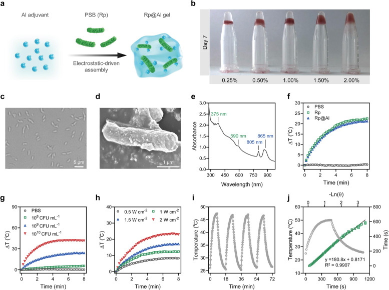 Bacteria-based multiplex system eradicates recurrent infections with drug-resistant bacteria via photothermal killing and protective immunity elicitation.