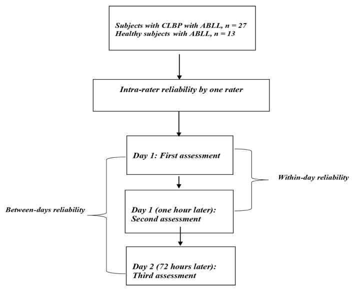 Reliability of Ultrasound Measurements of the Lumbar Multifidus and Transversus Abdominis Muscles during Lying and Unstable Sitting Positions in Individuals With and Without Chronic Low Back Pain.