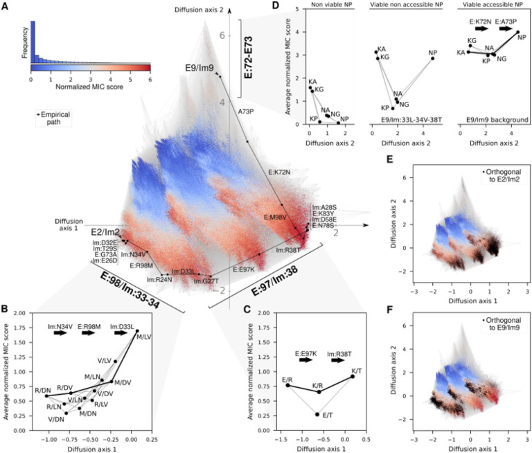 Evolutionary paths that link orthogonal pairs of binding proteins.