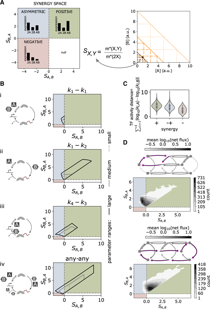 Transcriptional kinetic synergy: A complex landscape revealed by integrating modeling and synthetic biology.