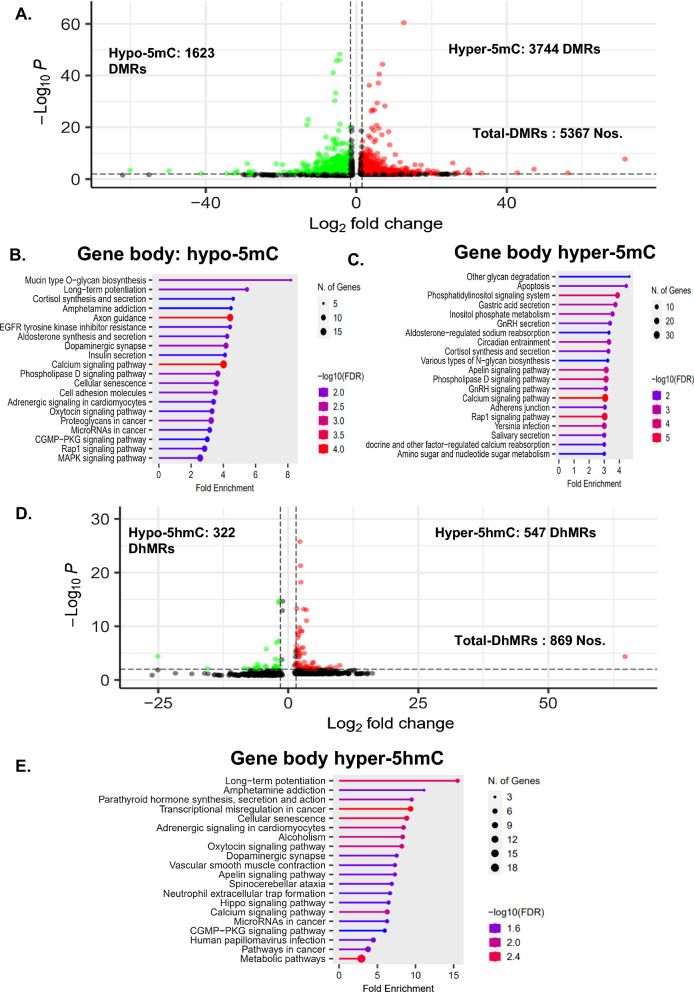 Epigenetic modifier alpha-ketoglutarate modulates aberrant gene body methylation and hydroxymethylation marks in diabetic heart.