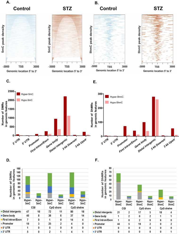 Epigenetic modifier alpha-ketoglutarate modulates aberrant gene body methylation and hydroxymethylation marks in diabetic heart.