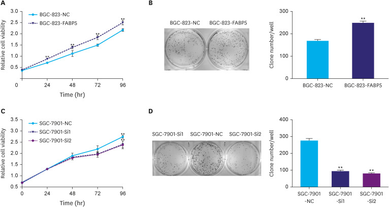 Fatty Acid Binding Protein 5 (FABP5) Promotes Aggressiveness of Gastric Cancer Through Modulation of Tumor Immunity.