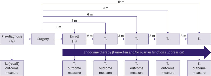 Impact of Adjuvant Hormone Therapy on Sleep, Physical Activity, and Quality of Life in Premenopausal Breast Cancer: 12-Month Observational Study.