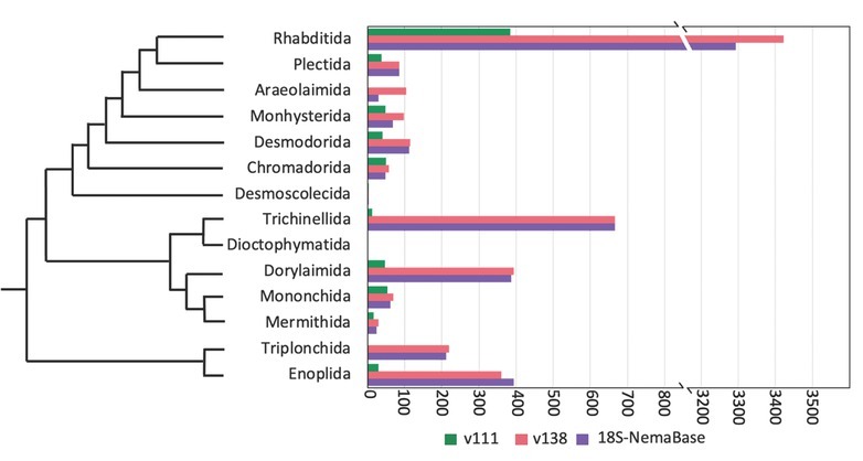 18S-NemaBase: Curated 18S rRNA Database of Nematode Sequences.