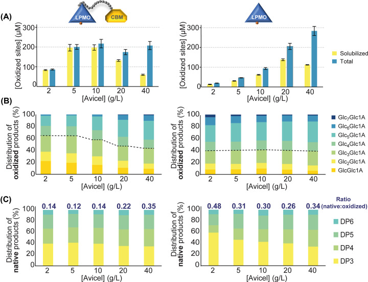 On the impact of carbohydrate-binding modules (CBMs) in lytic polysaccharide monooxygenases (LPMOs).