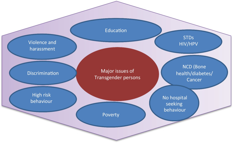 The Third Gender in a Third World Country: Major Concerns and the "AIIMS Initiative".