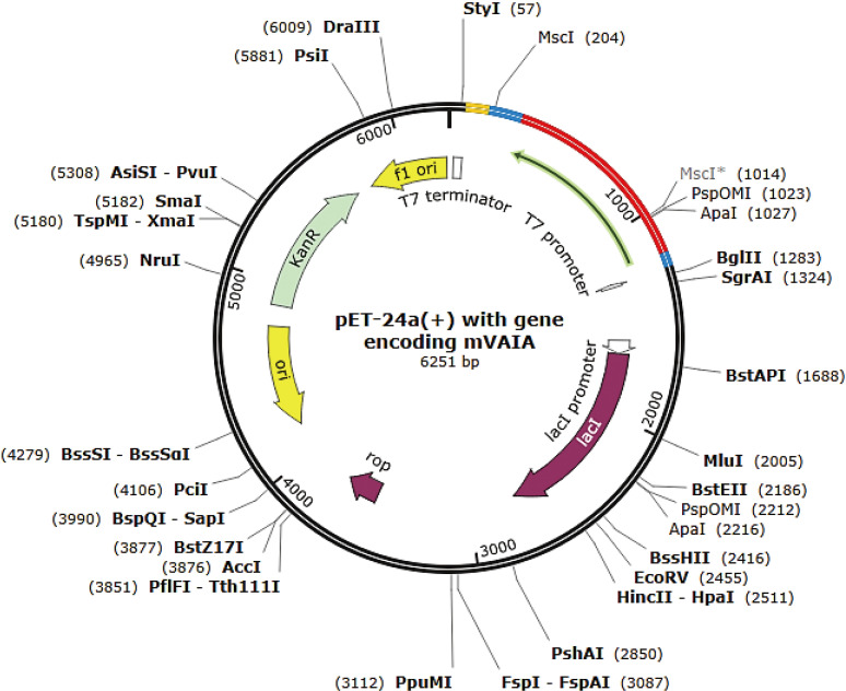 Strategic construction of mRNA vaccine derived from conserved and experimentally validated epitopes of avian influenza type A virus: a reverse vaccinology approach.