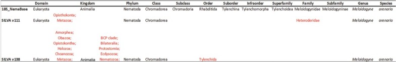 18S-NemaBase: Curated 18S rRNA Database of Nematode Sequences.