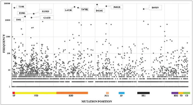 Distribution and Functional Analyses of Mutations in Spike Protein and Phylogenic Diversity of SARS-CoV-2 Variants Emerged during the Year 2021 in India.