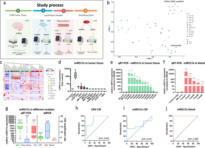 Clinical applicability of miR517a detection in liquid biopsies of ETMR patients