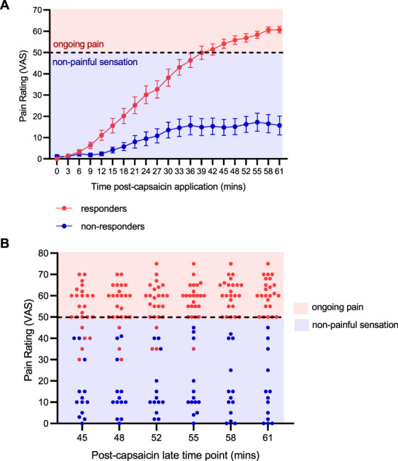 Responders and nonresponders to topical capsaicin display distinct temporal summation of pain profiles.