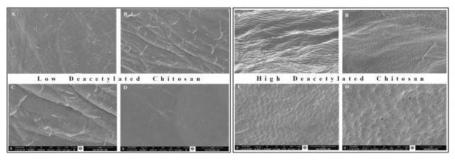 Preparation and Characterization of Crayfish (<i>Astacus leptodactylus</i>) Chitosan with Different Deacetylation Degrees.