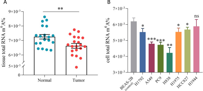 Comprehensive analyses of molecular features, prognostic values, and regulatory functionalities of m<sup>6</sup>A-modified long non-coding RNAs in lung adenocarcinoma.