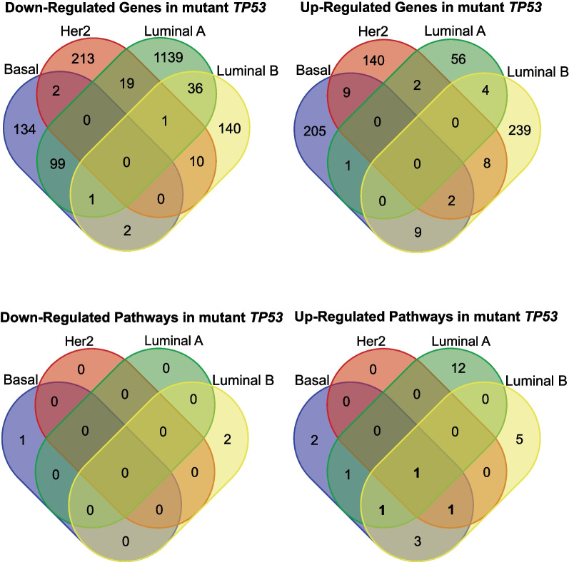 TP53 somatic mutations in Asian breast cancer are associated with subtype-specific effects.