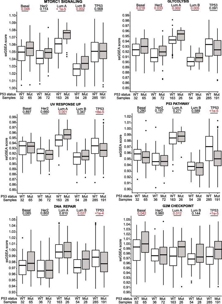 TP53 somatic mutations in Asian breast cancer are associated with subtype-specific effects.