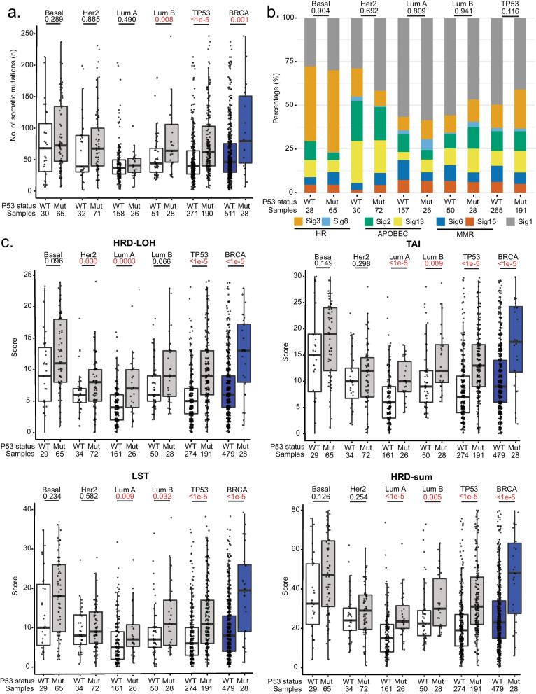 TP53 somatic mutations in Asian breast cancer are associated with subtype-specific effects.