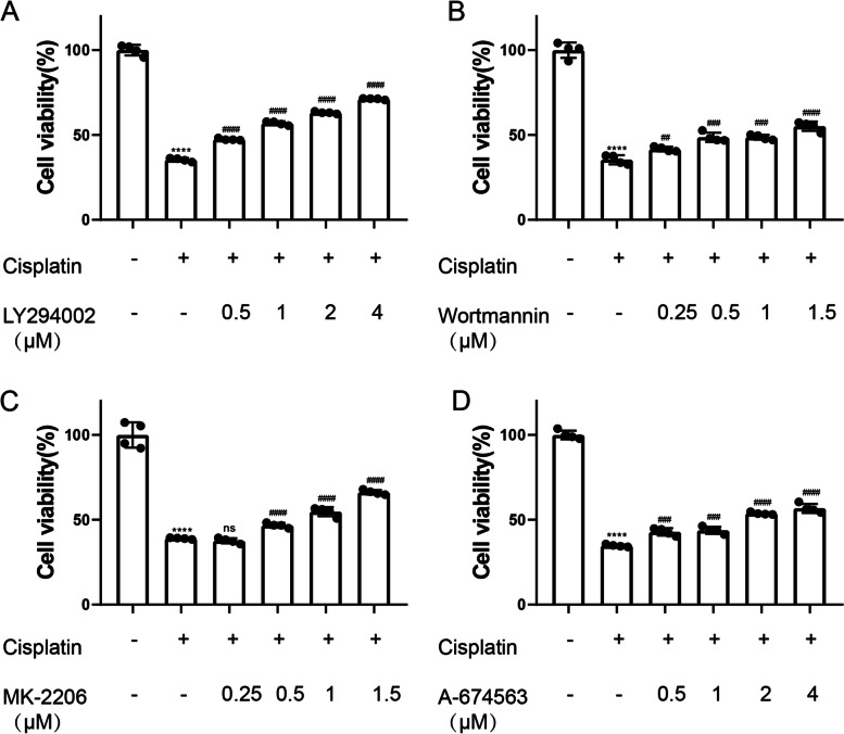 Deciphering the potential ability of RG108 in cisplatin-induced HEI-OC1 ototoxicity: a research based on RNA-seq and molecular biology experiment.