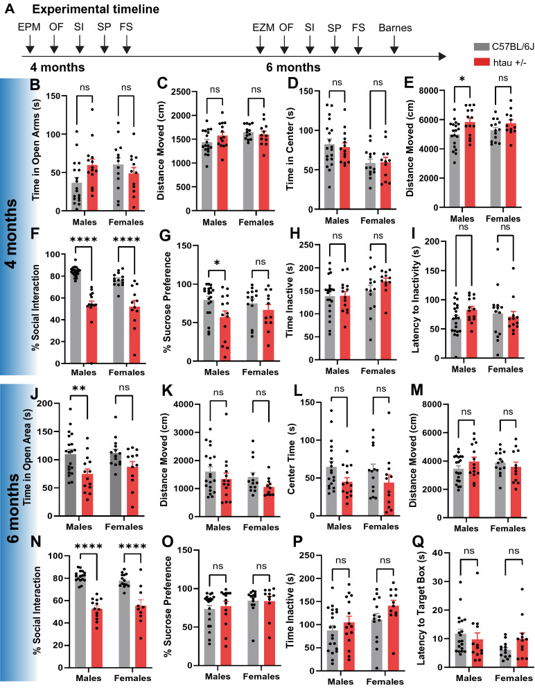 Human tau-overexpressing mice recapitulate brainstem involvement and neuropsychiatric features of early Alzheimer's disease.