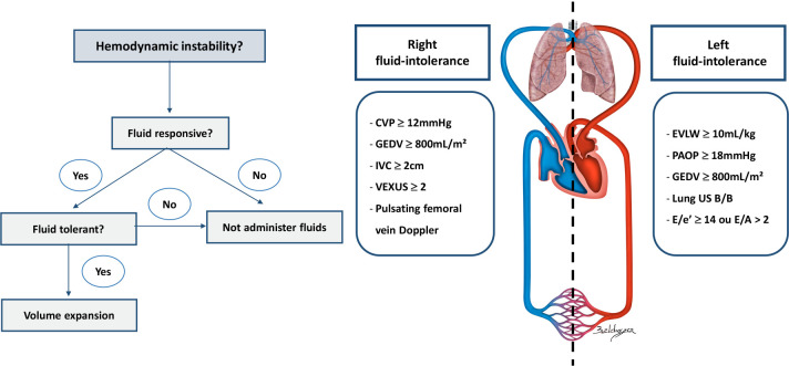 Beyond fluid responsiveness: the concept of fluid tolerance and its potential implication in hemodynamic management.