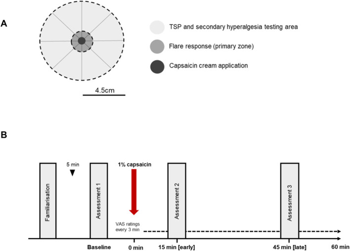 Responders and nonresponders to topical capsaicin display distinct temporal summation of pain profiles.