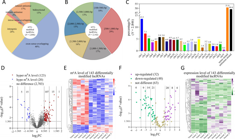 Comprehensive analyses of molecular features, prognostic values, and regulatory functionalities of m<sup>6</sup>A-modified long non-coding RNAs in lung adenocarcinoma.