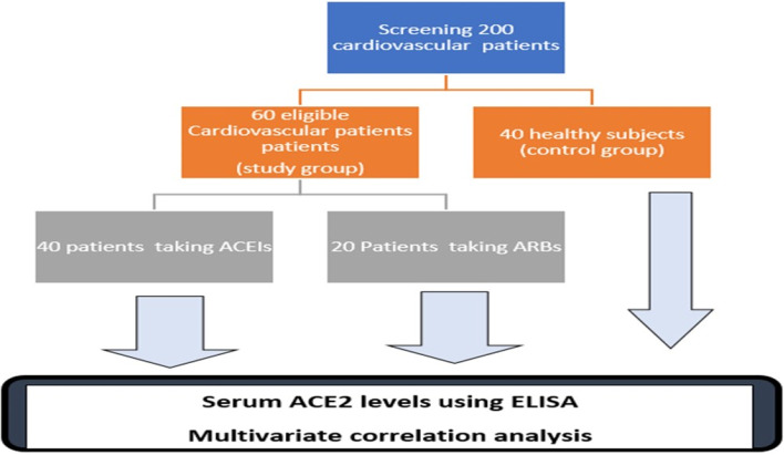 Effect of renin angiotensin blockers on angiotensin converting enzyme 2 level in cardiovascular patients.