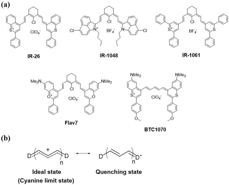 Controlling Molecular Dye Encapsulation in the Hydrophobic Core of Core-Shell Nanoparticles for In Vivo Imaging.