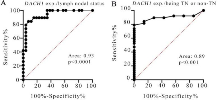 Study of DACH1 Expression and its Epigenetic Regulators as Possible Breast Cancer-Related Biomarkers.