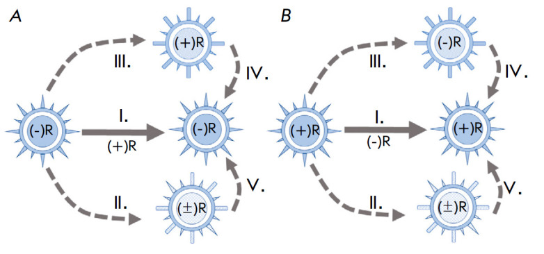 The Unique Genome of the Virus and Alternative Strategies for its Realization.