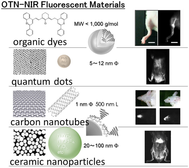 Controlling Molecular Dye Encapsulation in the Hydrophobic Core of Core-Shell Nanoparticles for In Vivo Imaging.