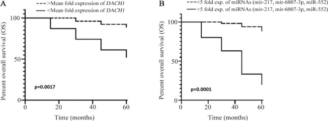 Study of DACH1 Expression and its Epigenetic Regulators as Possible Breast Cancer-Related Biomarkers.