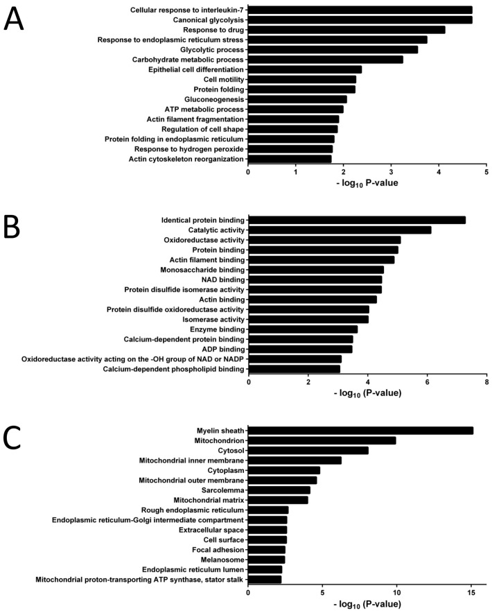 Shotgun Proteomics of Co-Cultured Leukemic and Bone Marrow Stromal Cells from Different Species as a Preliminary Approach to Detect Intercellular Protein Transfer.