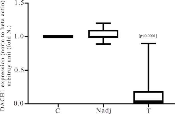 Study of DACH1 Expression and its Epigenetic Regulators as Possible Breast Cancer-Related Biomarkers.