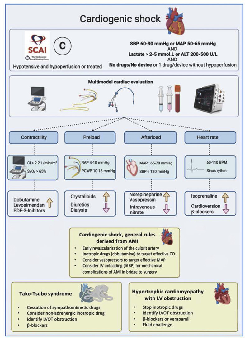 The medical treatment of cardiogenic shock