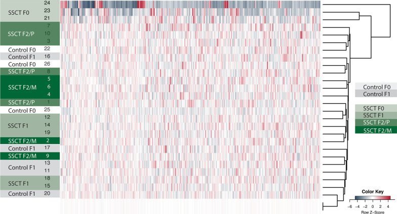 Sperm DNA methylation is predominantly stable in mice offspring born after transplantation of long-term cultured spermatogonial stem cells.