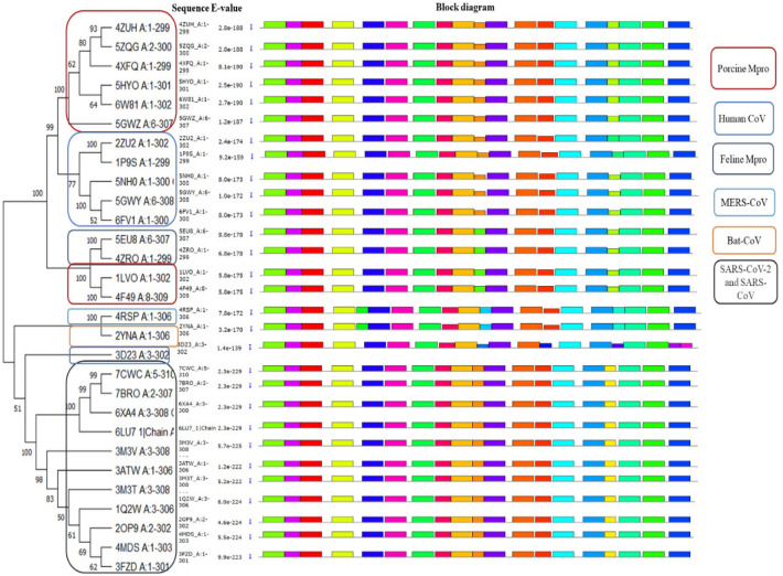 Evolutionary aspects of mutation in functional motif and post-translational modifications in SARS-CoV-2 3CLpro (Mpro): an in-silico study.