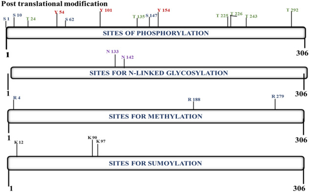 Evolutionary aspects of mutation in functional motif and post-translational modifications in SARS-CoV-2 3CLpro (Mpro): an in-silico study.