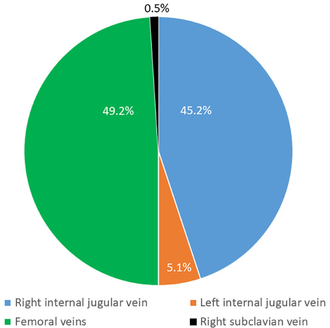 Management of renal replacement therapy among adults in French intensive care units: A bedside practice evaluation