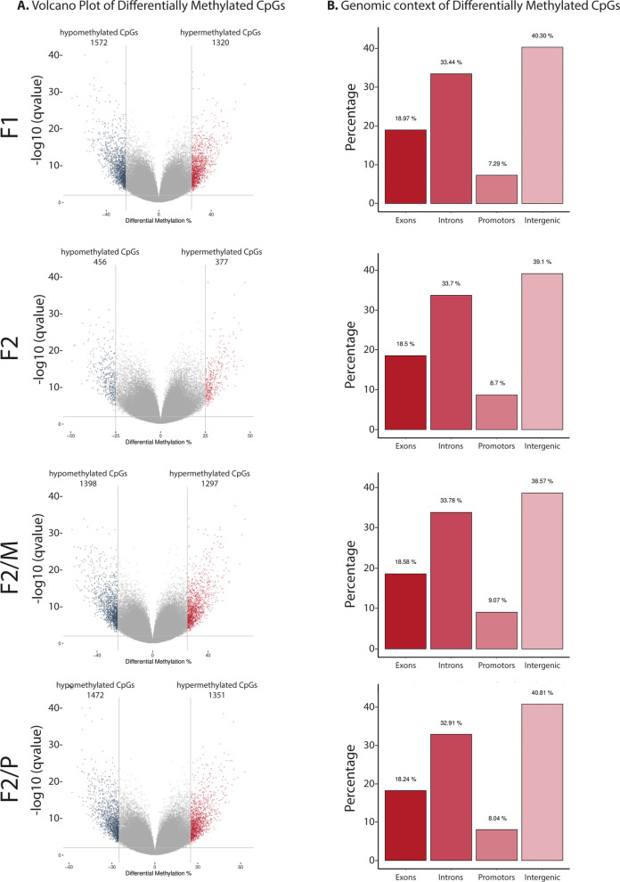 Sperm DNA methylation is predominantly stable in mice offspring born after transplantation of long-term cultured spermatogonial stem cells.